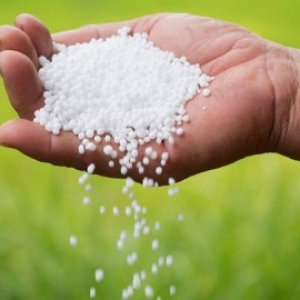 cac-loai-phan-dam-pho-bien-hien-nay-quy-trinh-san-xuat-vai-tro