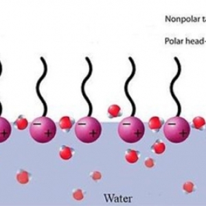 chat-hoat-dong-be-mat-la-gi-tinh-chat-phan-loai-va-ung-dung