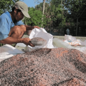 doanh-nghiep-san-xuat-kinh-doanh-phan-bon-gap-kho