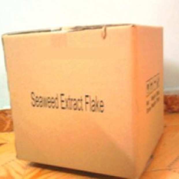 Sea Weed (Seaweed extract)