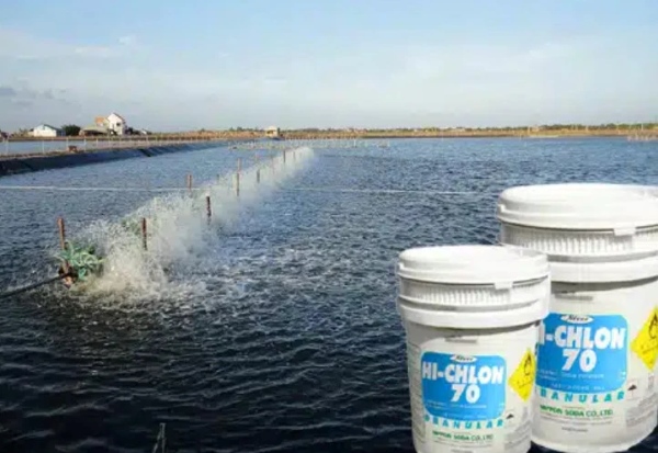 Clorin 70% TRUNG QUỐC dùng để khử cá tạp, giáp xác, tảo, ký sinh