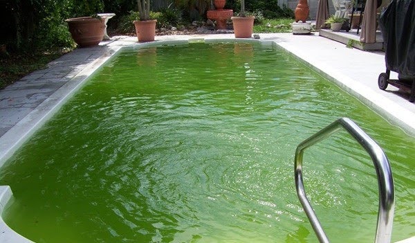 Không có loại hóa chất xử lý nước hồ bơi nào là tốt tuyệt đối mà cần kết hợp nhiều loại để đạt hiệu quả tối ưu